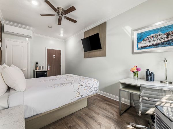 A bright hotel-style bedroom with a wall-mounted TV, ceiling fan, comfy bed, desk area, framed ship photo, and light wood floors. Ends.