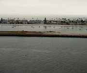 A seaside harbor town with palm trees and sailboats lining calm water beside a sandy shore.