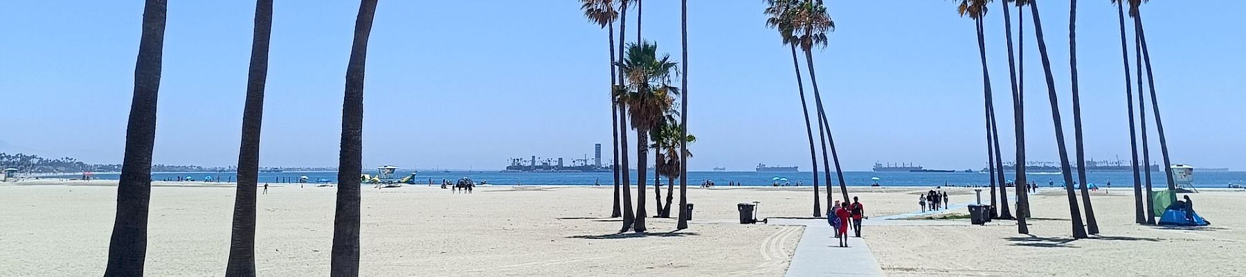 Sunny beach with tall palm trees lining a walkway, with people strolling and the sea in the distance.