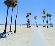 Sunny beach with tall palm trees lining a walkway, with people strolling and the sea in the distance.