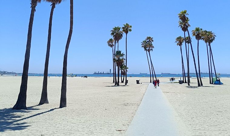 Sunny beach with tall palm trees lining a walkway, with people strolling and the sea in the distance.