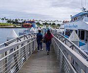 Passengers walk on a cruise ship gangway as a docked boat rests by a palm-lined waterfront under cloudy skies.