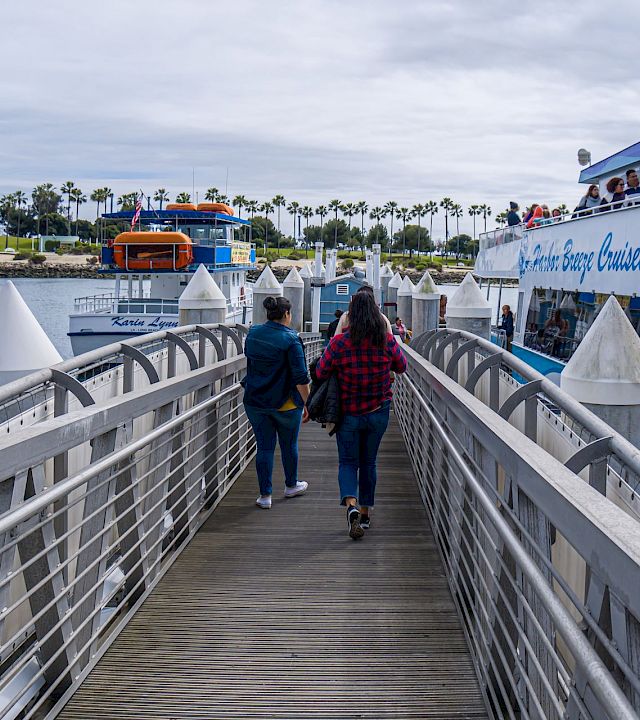 Passengers walk on a cruise ship gangway as a docked boat rests by a palm-lined waterfront under cloudy skies.