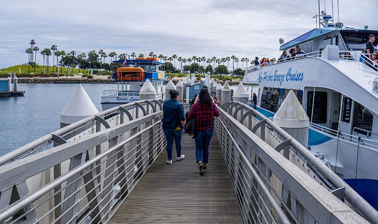 Passengers walk on a cruise ship gangway as a docked boat rests by a palm-lined waterfront under cloudy skies.