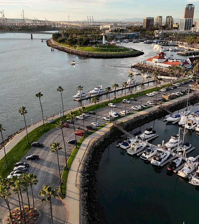 A riverside marina with yachts, a curved seawall, palm-lined roads, and high-rise skyline under a cloudy sky.